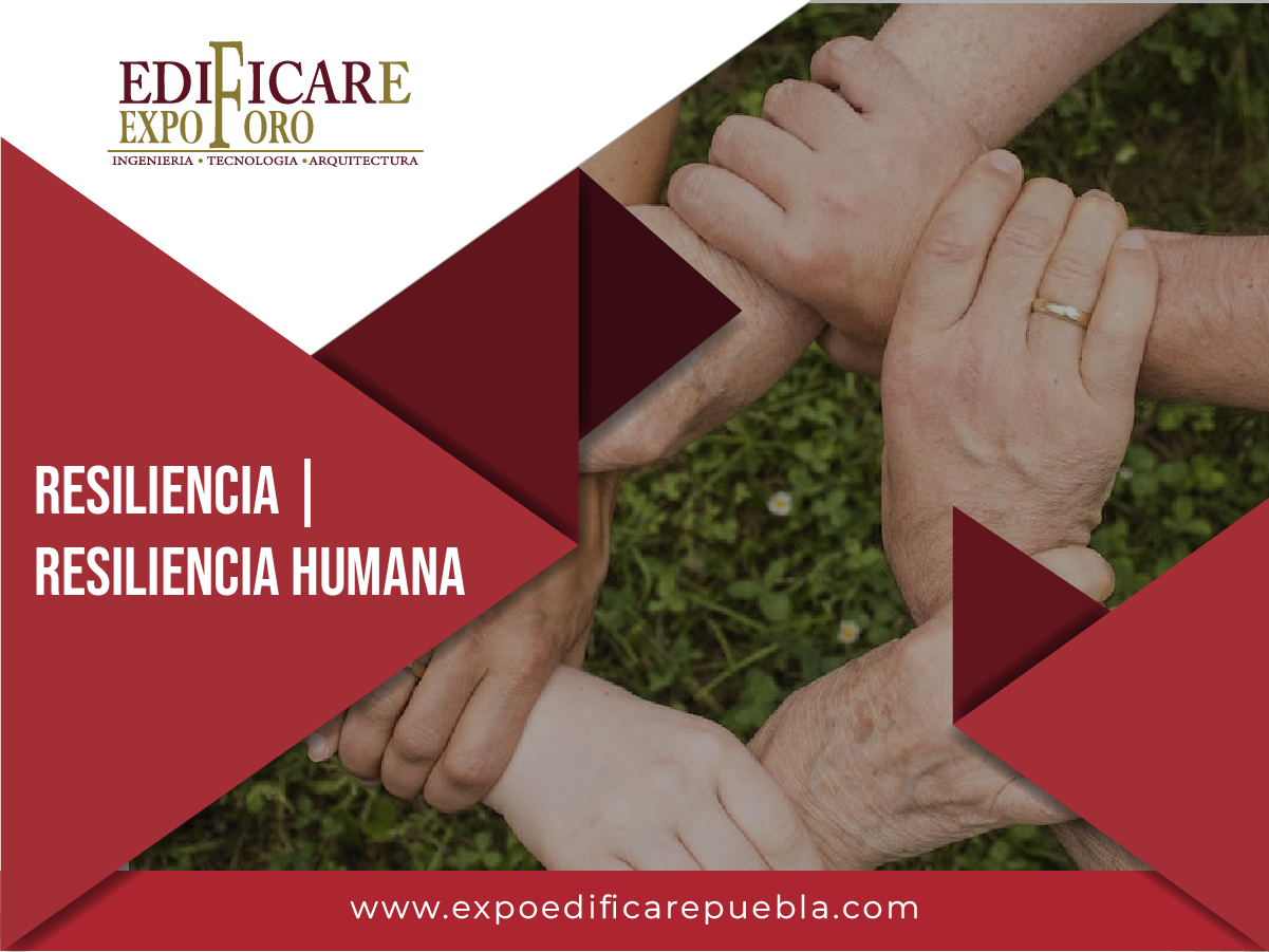 Resiliencia | Resiliencia Humana